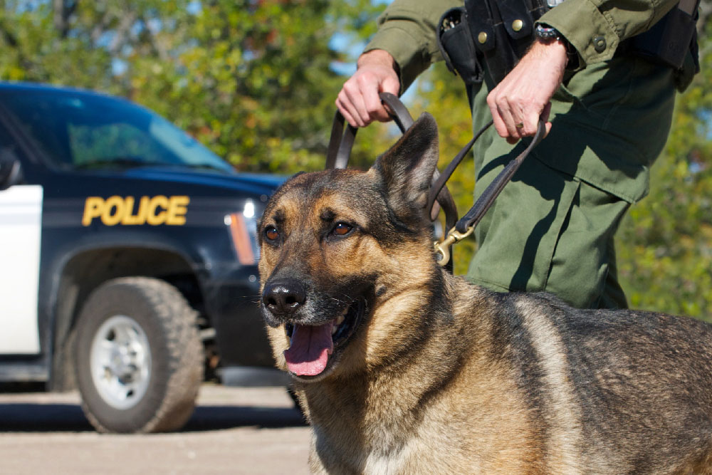 why do policemen keep dogs