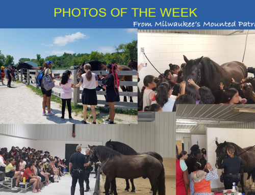 Photos of the Week from Milwaukee’s Mounted Patrol!